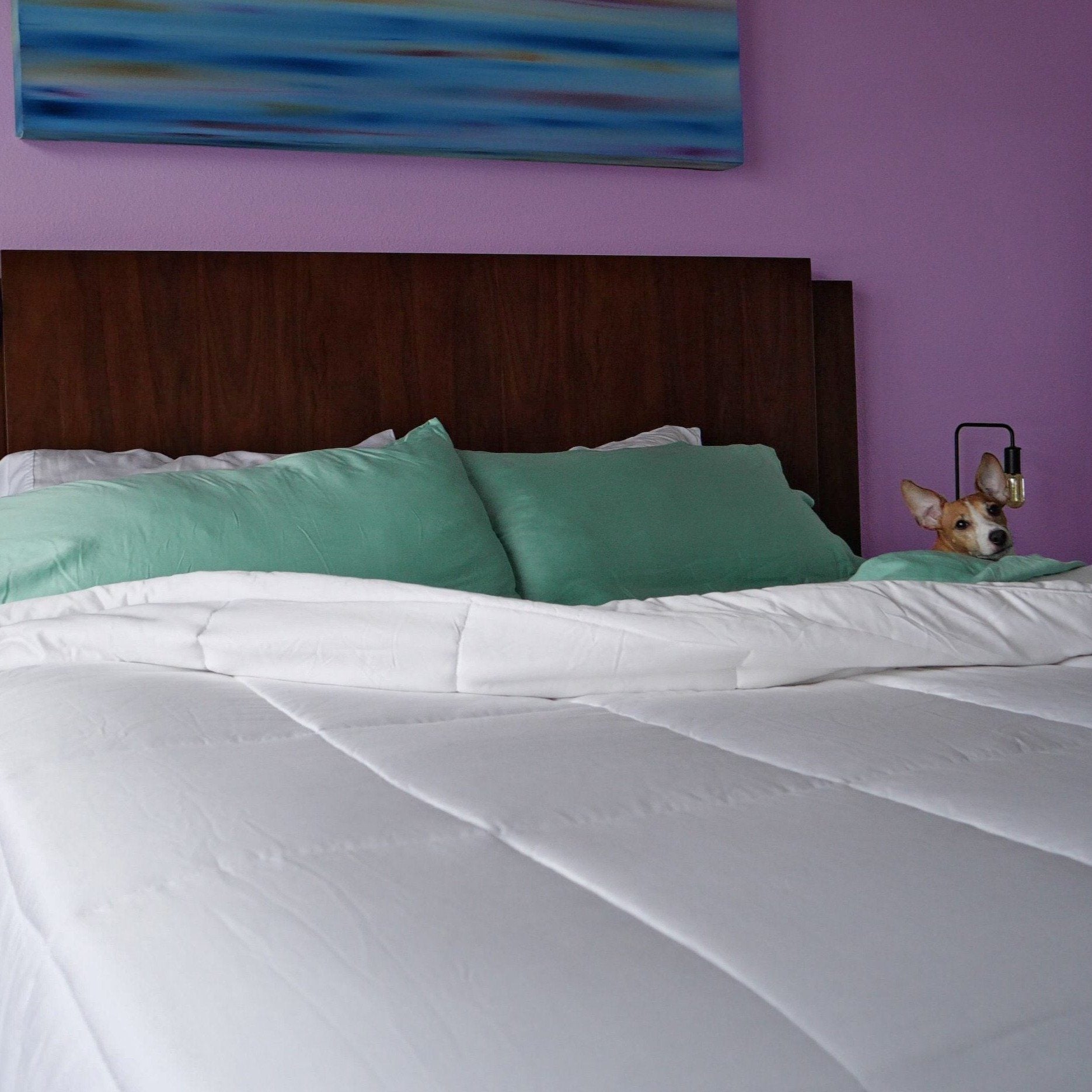 Eucalyptus Sheets - Vegan Indulgence