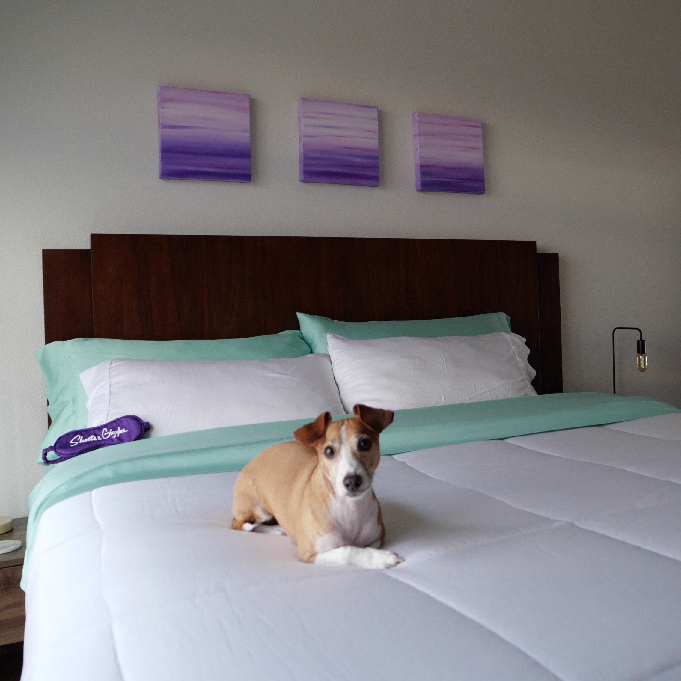 Eucalyptus Sheets - Vegan Indulgence
