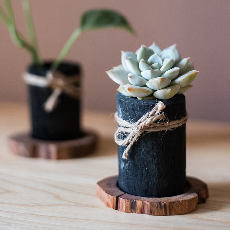 Desktop Charcoal Planter Wood Tray