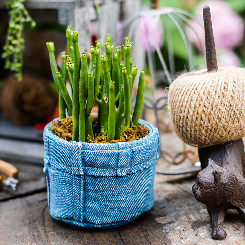 Pants for Plants Blue Jeans Cement Flower Pot