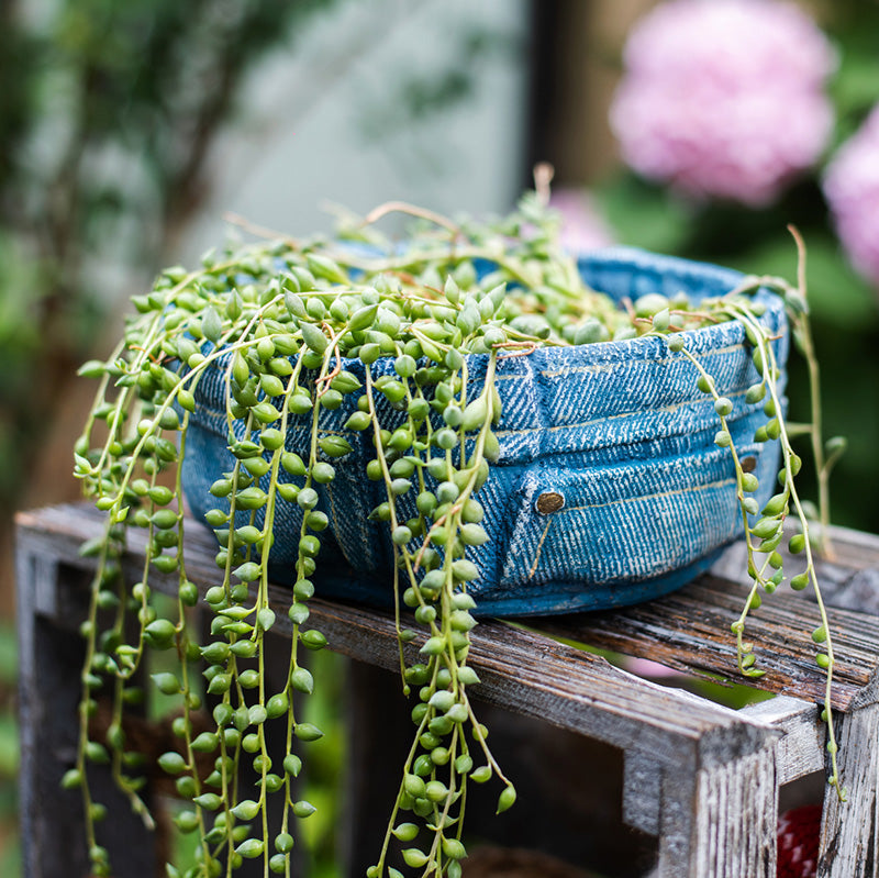 Pants for Plants Blue Jeans Cement Flower Pot