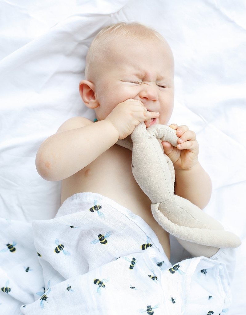 Organic Swaddle Set  - Busy Bees (Bee + Hive)