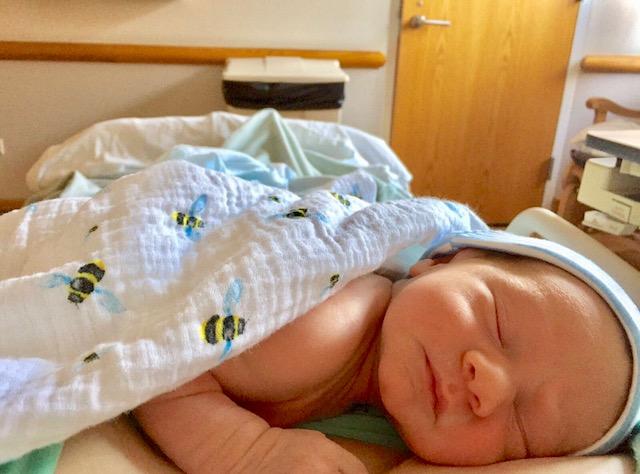 Organic Swaddle Set  - Busy Bees (Bee + Hive)