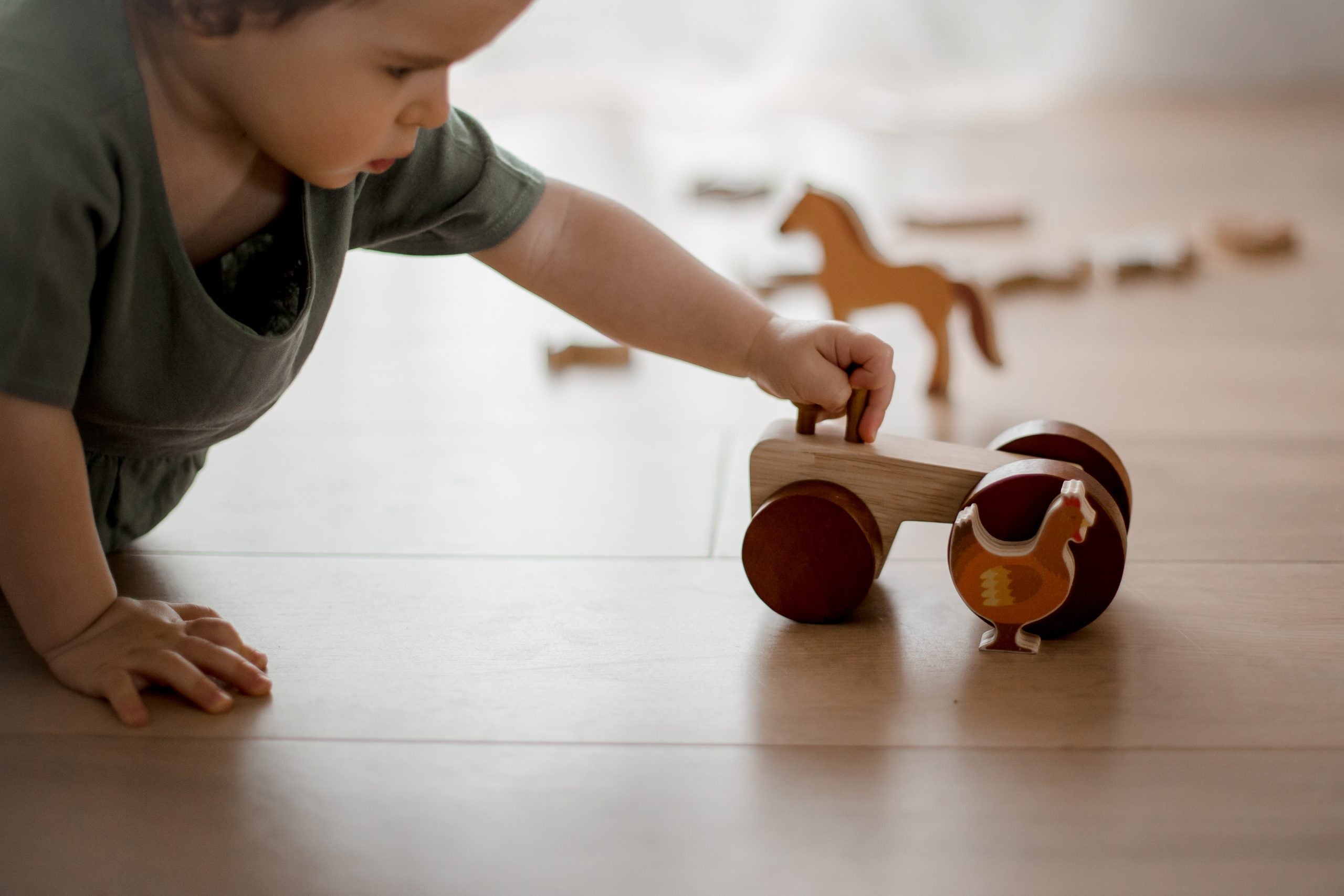 Farm Animals & Tractor Set