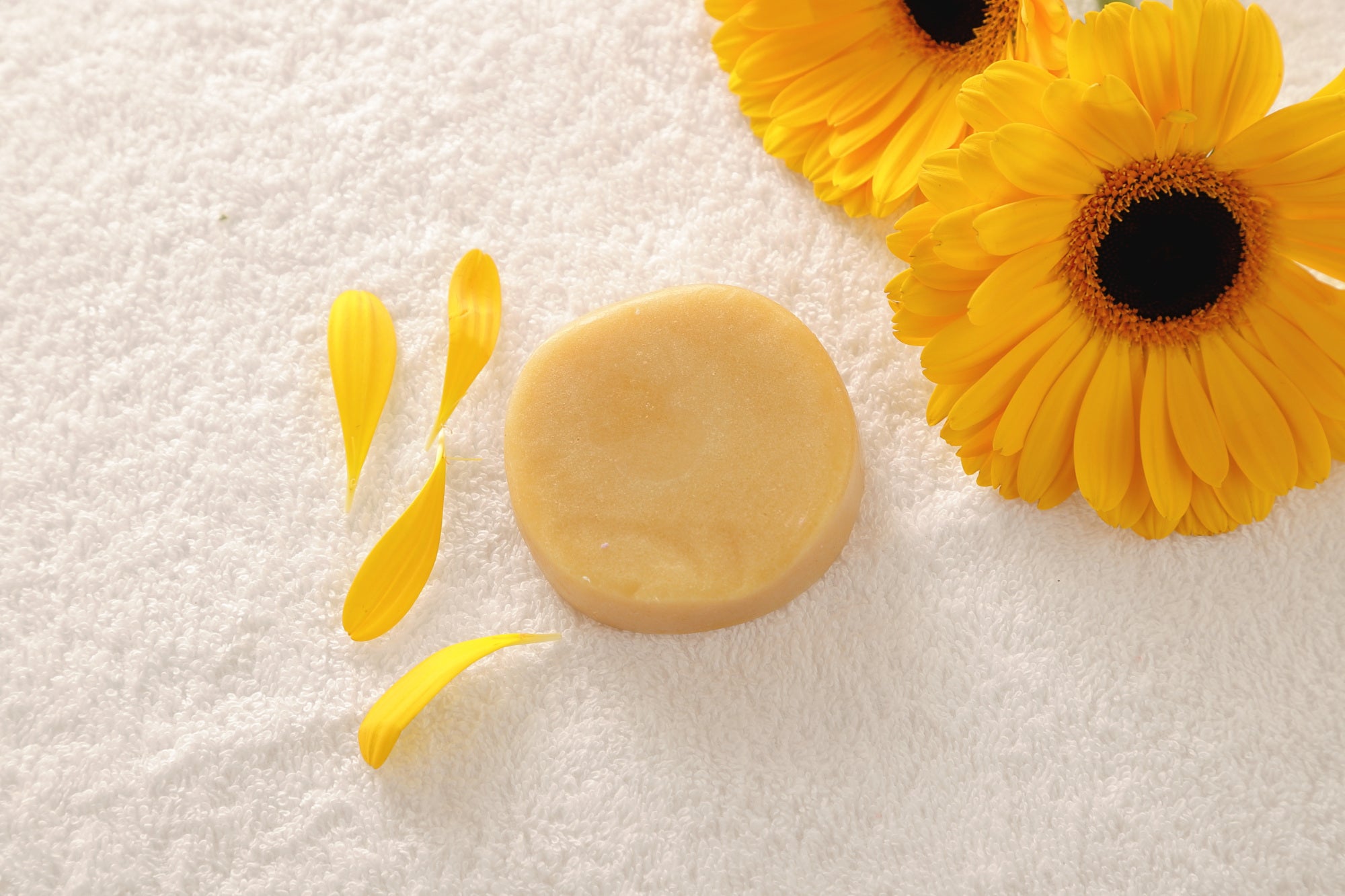 Citrus Conditioner Bar