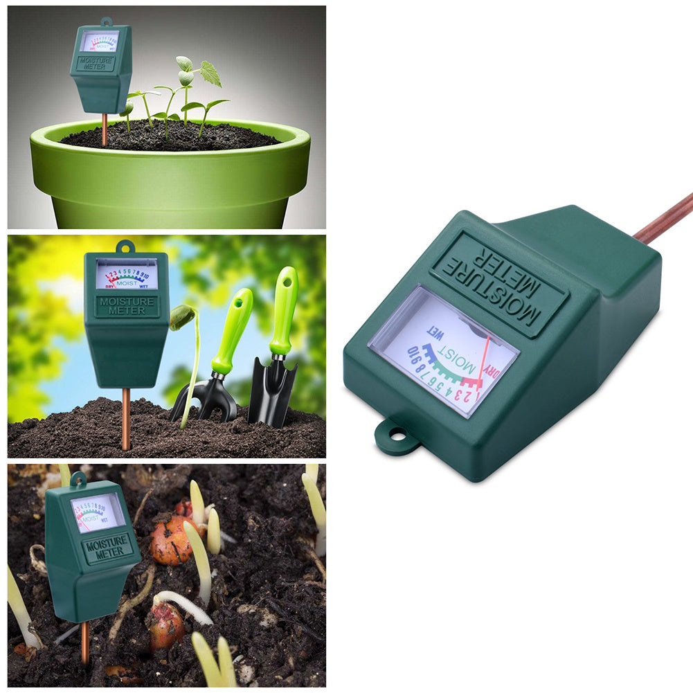 PH Sensor Lawn Hygrometer For Home - Vegan Indulgence